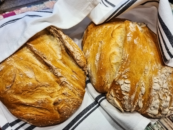 Bread